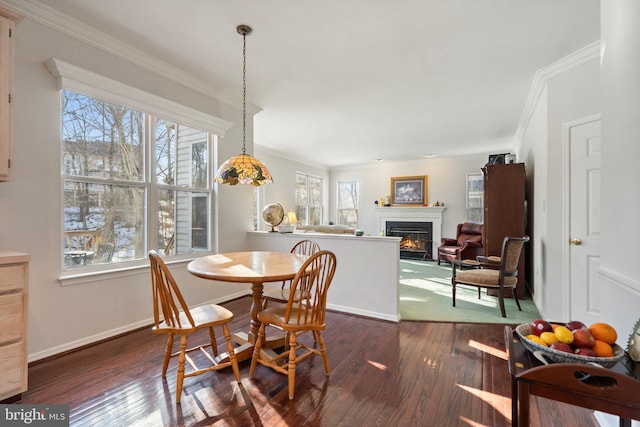 dining room featuring crown molding and dark wood-type flooring