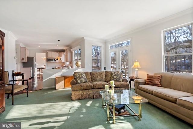 carpeted living room featuring plenty of natural light, ornamental molding, and french doors