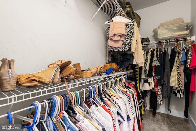 spacious closet with carpet