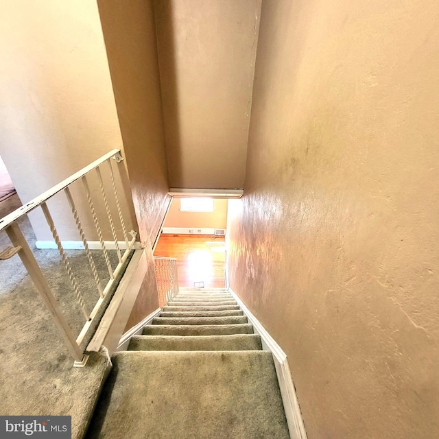 1333 Argus Rd, Camden, NJ 08104 - staircase featuring carpet floors, baseboards, and a textured wall