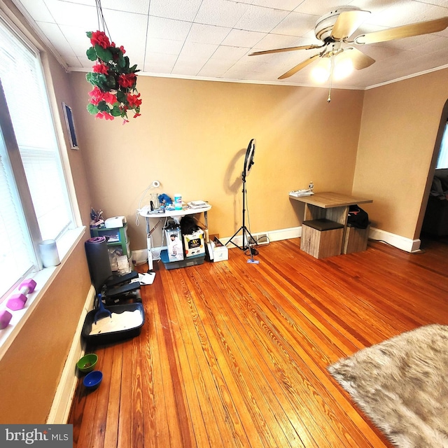 game room featuring a wealth of natural light, crown molding, and wood finished floors