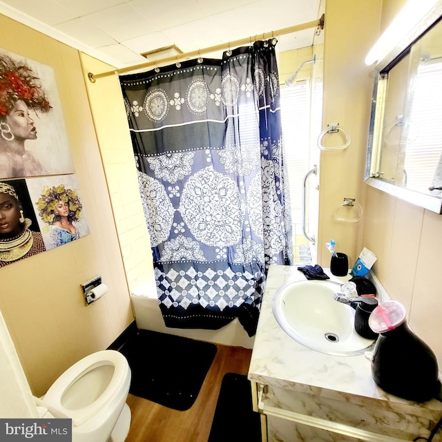 bathroom featuring toilet, curtained shower, and vanity