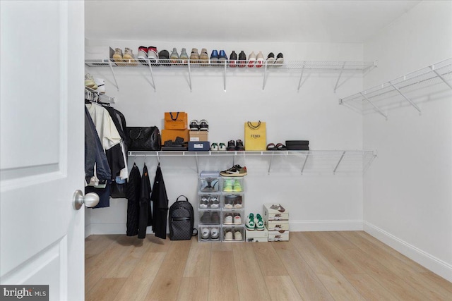 walk in closet with wood-type flooring