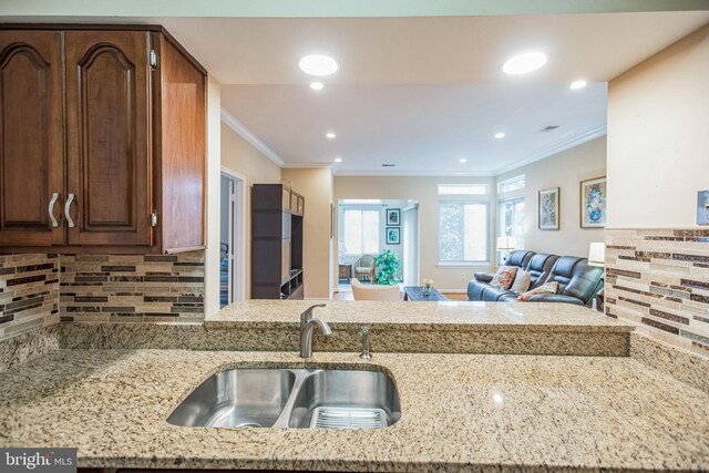 kitchen with backsplash, ornamental molding, open floor plan, and a sink