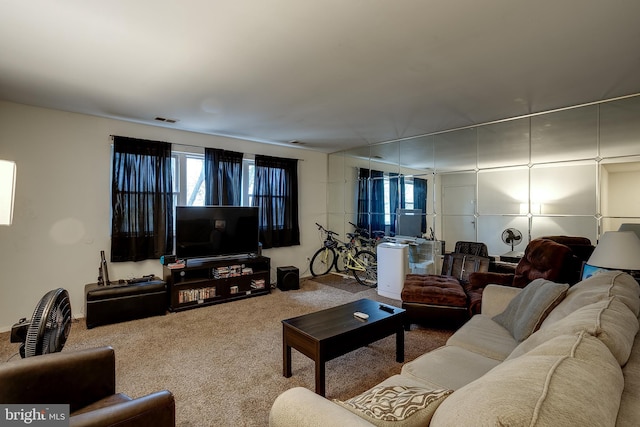 living room featuring a wealth of natural light and carpet