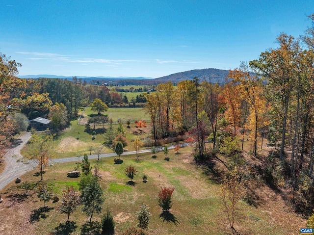 bird's eye view with a mountain view