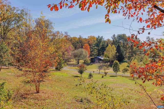 view of yard with a rural view