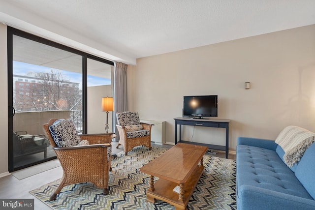 living room with a textured ceiling