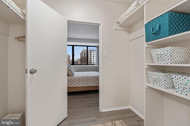 spacious closet featuring wood-type flooring