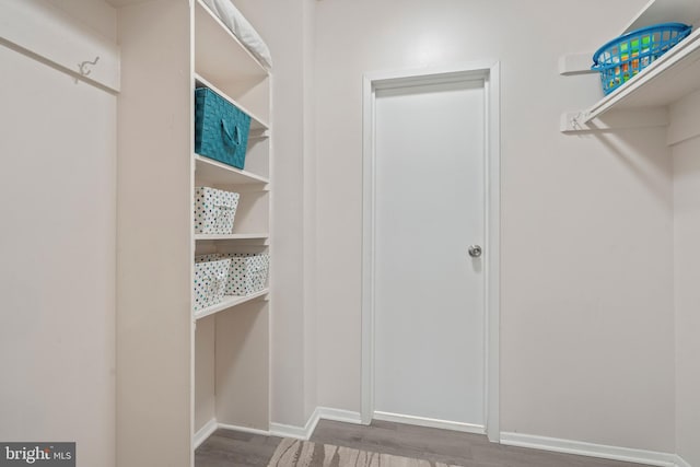 spacious closet featuring wood-type flooring