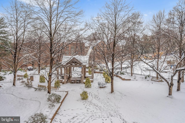 view of yard covered in snow