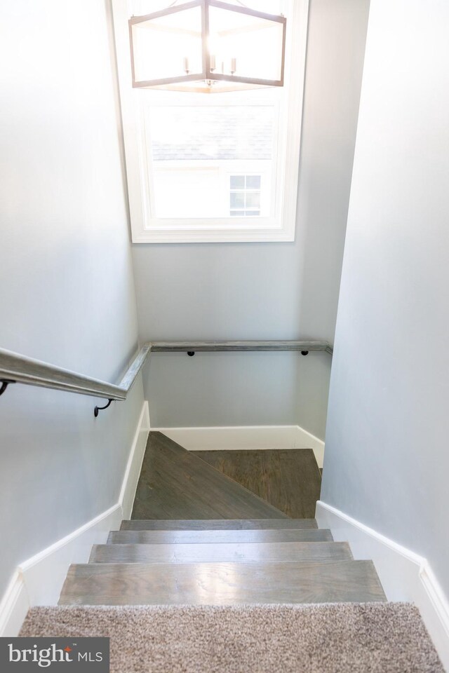 staircase featuring wood finished floors