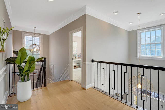 hallway with hardwood / wood-style flooring, a chandelier, and ornamental molding