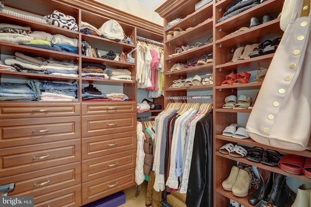 view of spacious closet