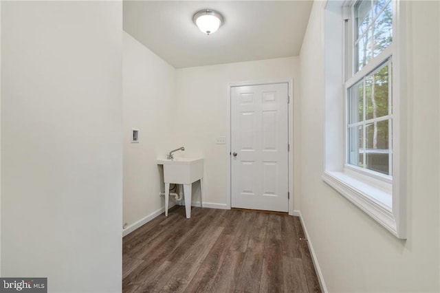 washroom featuring sink, hookup for a washing machine, and dark hardwood / wood-style floors