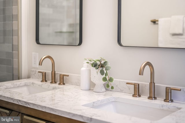 details with a sink and double vanity