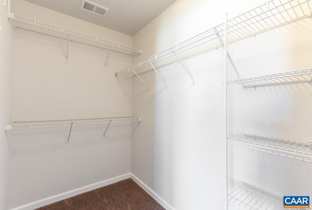 spacious closet featuring carpet floors