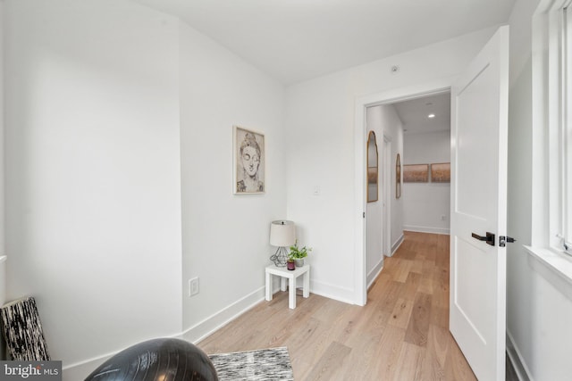 living area featuring light hardwood / wood-style floors