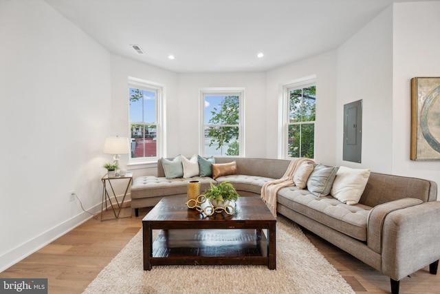 living room featuring a healthy amount of sunlight, electric panel, and light hardwood / wood-style flooring