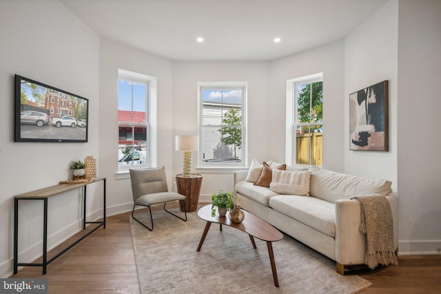 living area with light hardwood / wood-style flooring