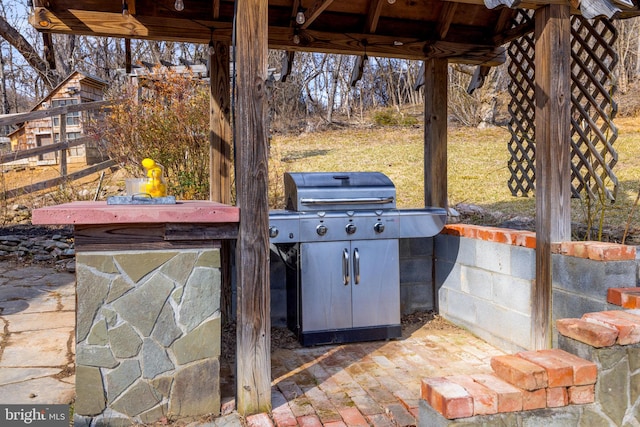 view of patio / terrace featuring grilling area