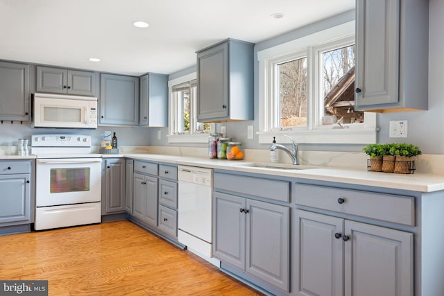 kitchen featuring gray cabinets, light countertops, light wood-style flooring, a sink, and white appliances