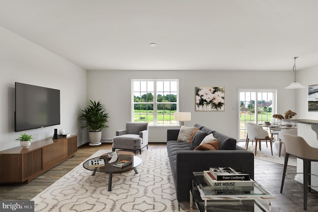 living room with a healthy amount of sunlight and wood-type flooring