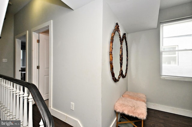 corridor with dark wood-type flooring and a wealth of natural light