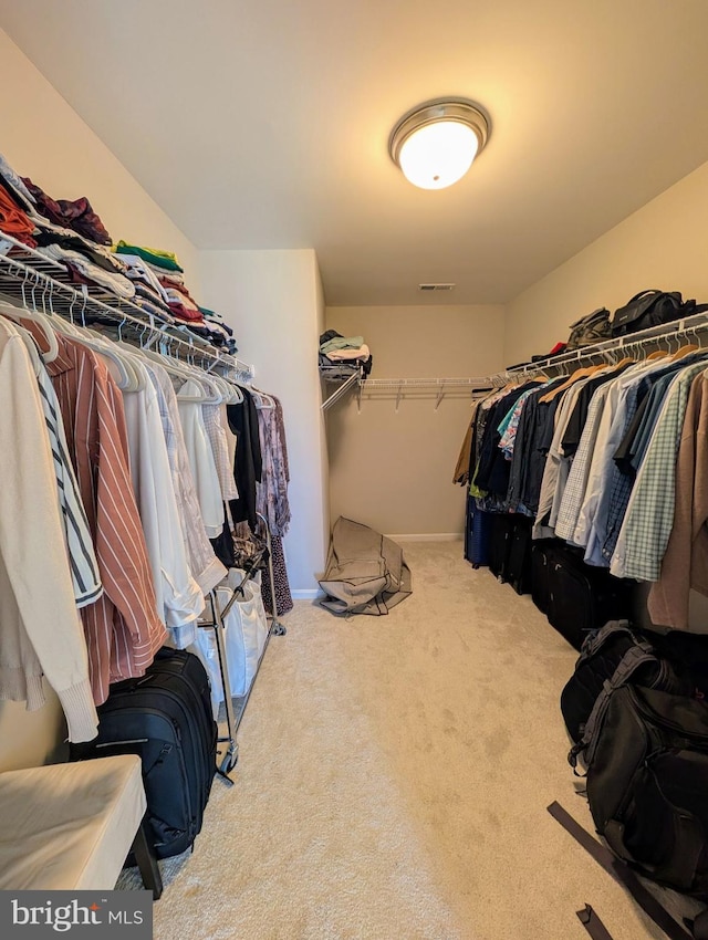 spacious closet featuring carpet and visible vents