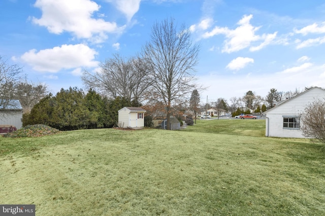 view of yard with a storage shed