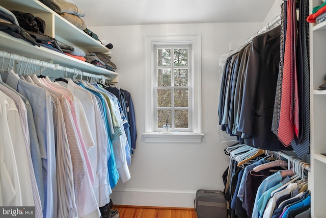 spacious closet featuring light wood-type flooring