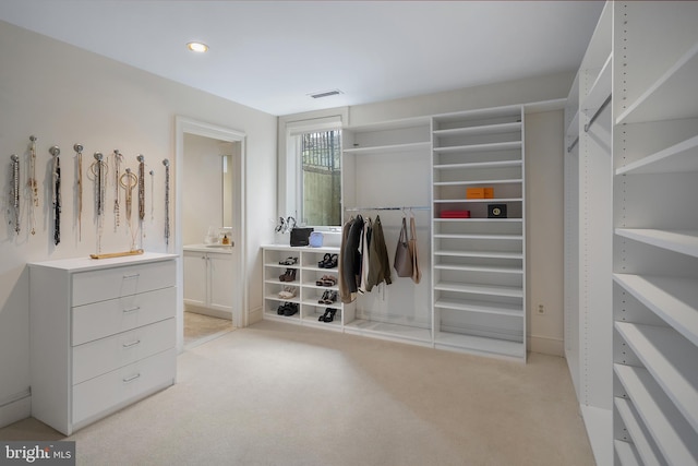 spacious closet with light carpet