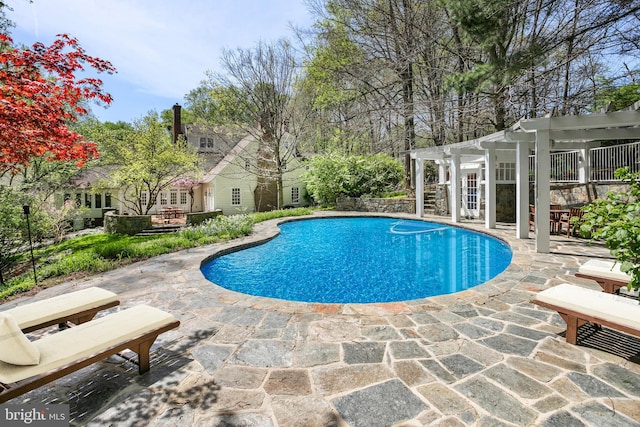 view of swimming pool featuring a patio area and a pergola