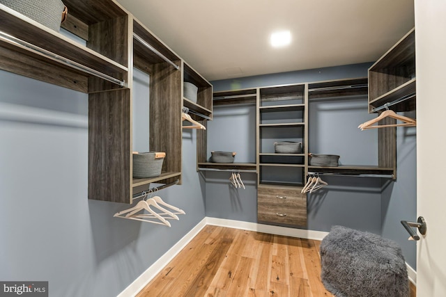 spacious closet featuring hardwood / wood-style floors