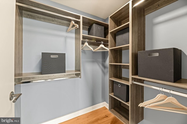 walk in closet featuring hardwood / wood-style floors