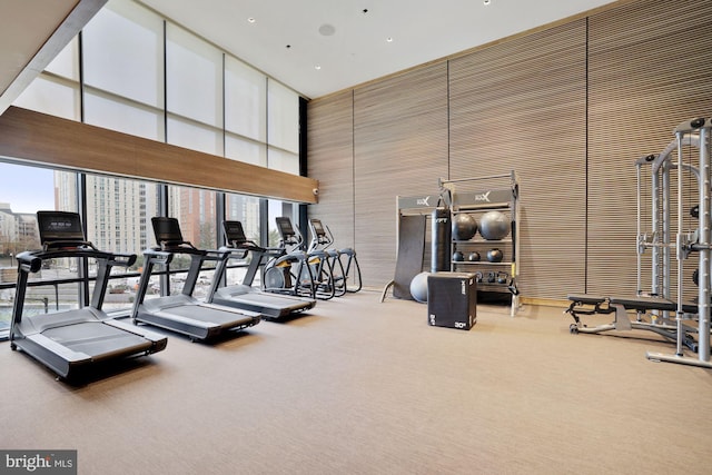 workout area with floor to ceiling windows, carpet flooring, and a towering ceiling