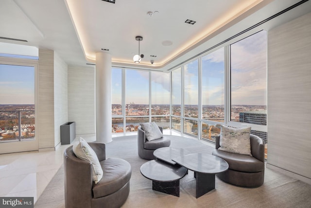 interior space featuring expansive windows and a raised ceiling