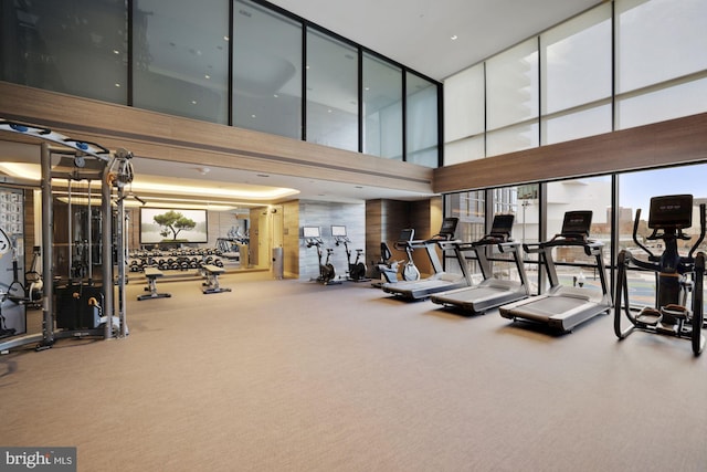 exercise room with carpet floors