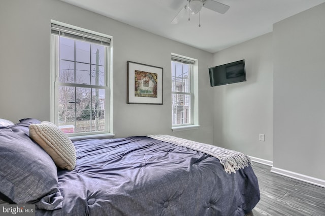 bedroom with multiple windows, dark hardwood / wood-style flooring, and ceiling fan