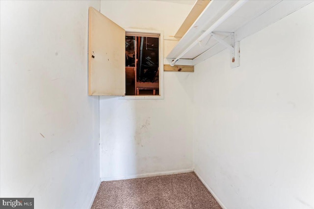 walk in closet featuring carpet