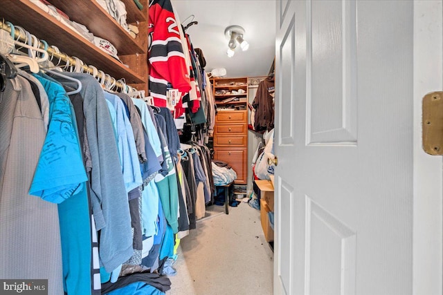 view of walk in closet