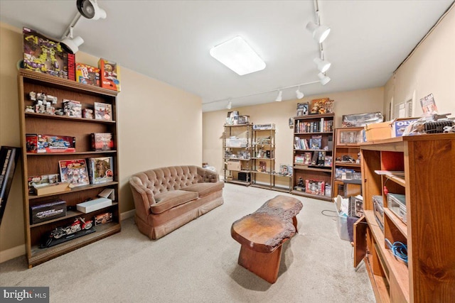 sitting room featuring track lighting and carpet