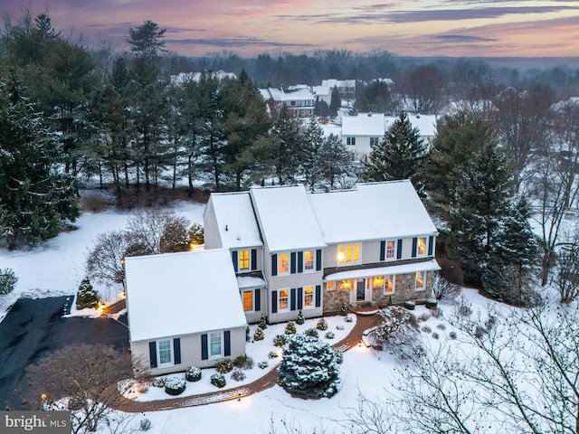 view of snowy aerial view