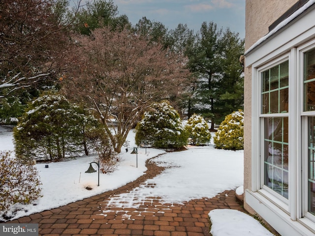 view of snowy yard