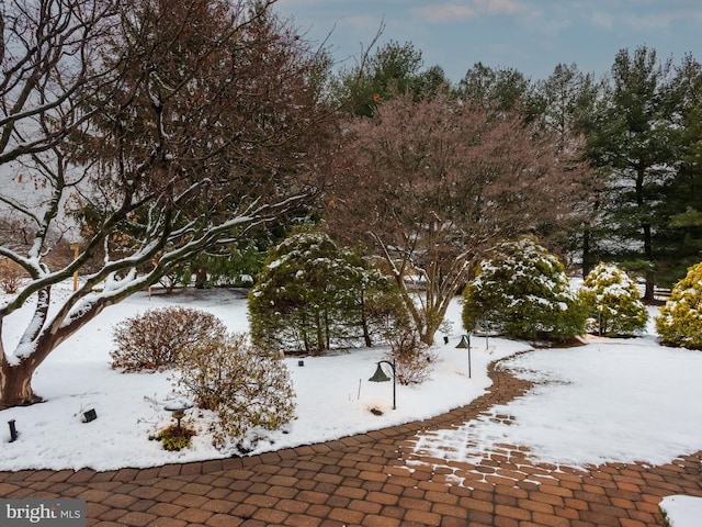 view of yard covered in snow