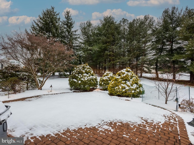 view of yard covered in snow