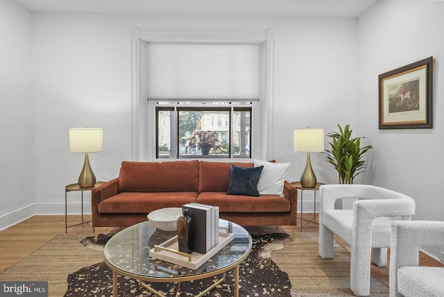 living room with wood-type flooring