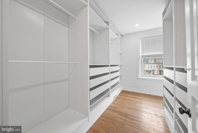 spacious closet featuring wood-type flooring