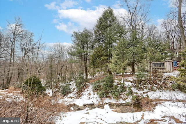 view of snow covered land