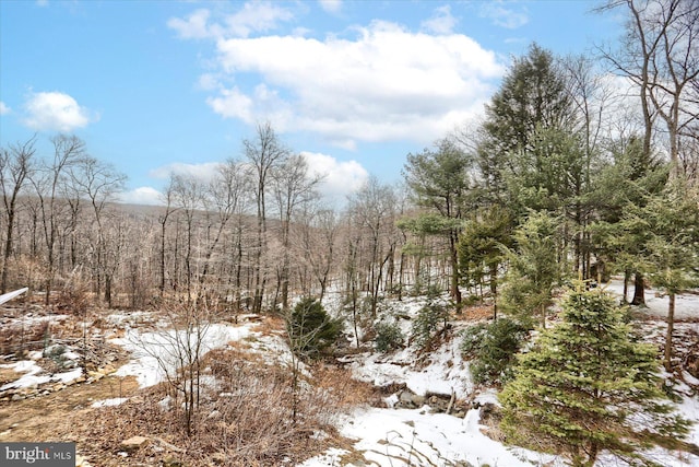 view of snow covered land featuring a view of trees